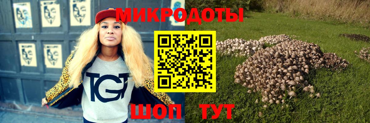 Галлюциногенные грибы Psilocybine cubensis Киров