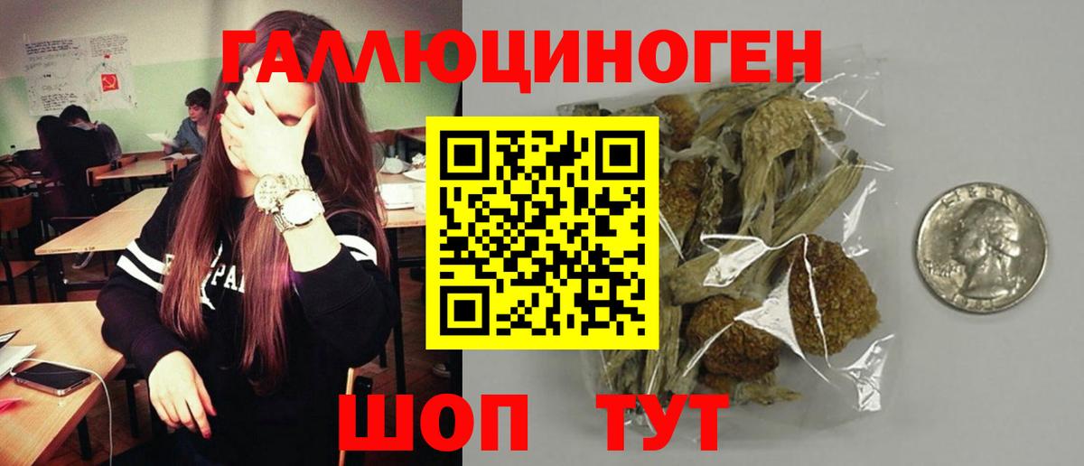 Где продают наркотики?  Киров  COCAIN  Каннабис  Меф  Меф кристаллы  Вход с VPN  Лсд 25  ГАШ  Метамфетамин 